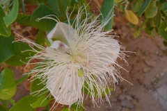 P1000819