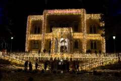 Weihnachtsmarkt-Freiburg-2