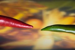 Chilli-2