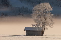 Huette-im-Feld_2