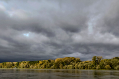Am Rhein