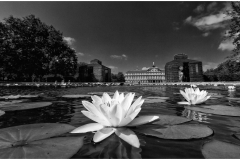 Rastatter-Schloss
