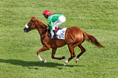 Jockey Andrasch Starke