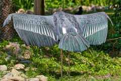 Marabu-Gefieder...
