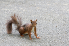 Na du, habe ich gut posiert?