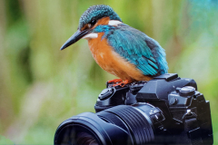 Fotointeressiert...