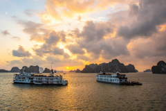 20151123_MG5D3_2481-1-scaled