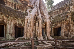 20151206_MG5D3_3334-1-scaled