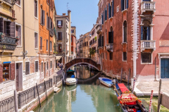 20190620_MG5D4_1942-1-scaled