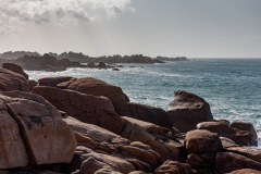 20190810_MG5D4_2490-1-scaled