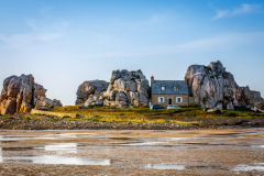 20190810_MG5D4_2543-1-scaled