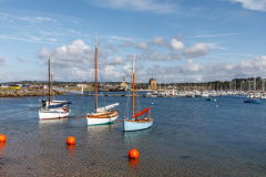 20190813_MG5D4_2648-1-scaled