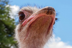 20191114_DGGX80_1090232-1-scaled