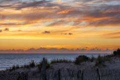 20200823_DGGX9_1000270-1-scaled