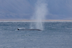 20220814_MG5D4_5569-1-scaled