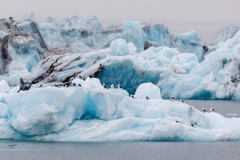 20220817_MG5D4_5853-1-scaled