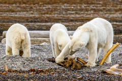 20220819_MG5D4_6068-1-scaled