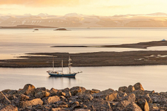 20220820_MG5D4_6422-1-scaled