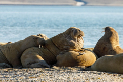 20220821_MG5D4_6578-1-scaled