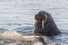 20220821_MG5D4_6579-1-scaled