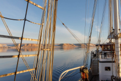 20220821_MG5D4_6613-1-scaled