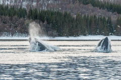 20251128_DGR6_6690-1-scaled