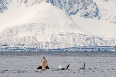 20251128_DGR6_6757-1-scaled