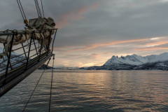 20251129_MG5D4_9993-1-scaled