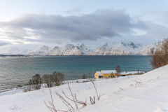 20251201_DGR6_7065-1-scaled