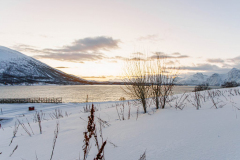 20251201_DGR6_7160-1-scaled