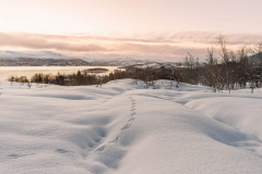 20251202_DGR6_7315-1-scaled