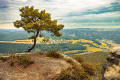 Thomas Bräuer-Sächsische Schweiz