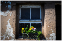 Fenster