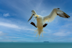 Helgoland