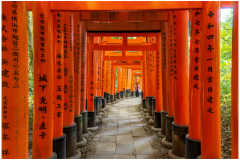 Durch tausend Tore musst du gehen !