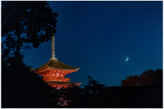 Wenn in Kyoto die Lichter angehen !